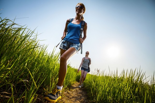 Walkers in the Netherlands