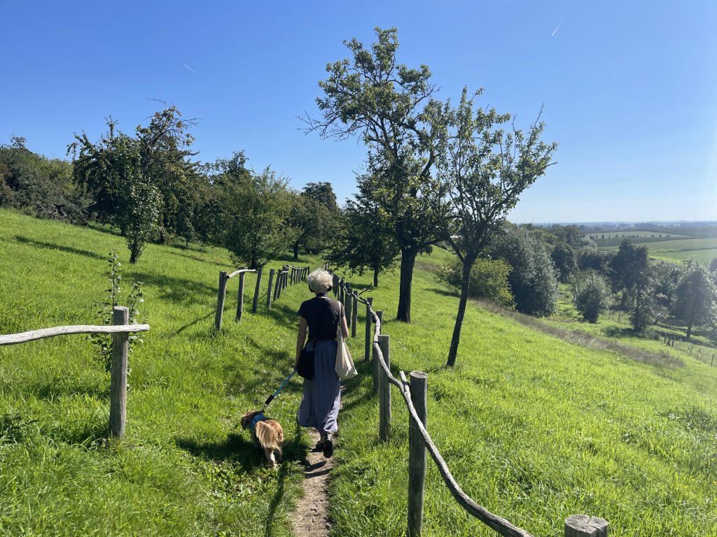 wandelaar langs de Via Christina Mirabilis