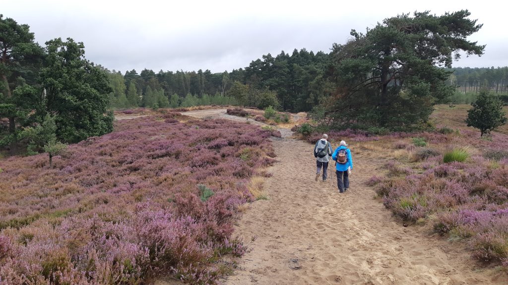 twee wandelaars op de route langs de Limburgse Mijnen