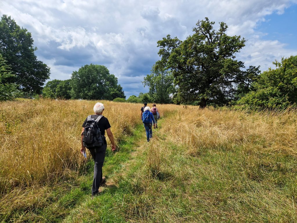 Wandelaars langs de Peelrandbreuk