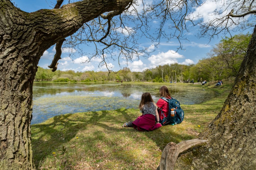 Te voet door de omstreken van Alkmaar
