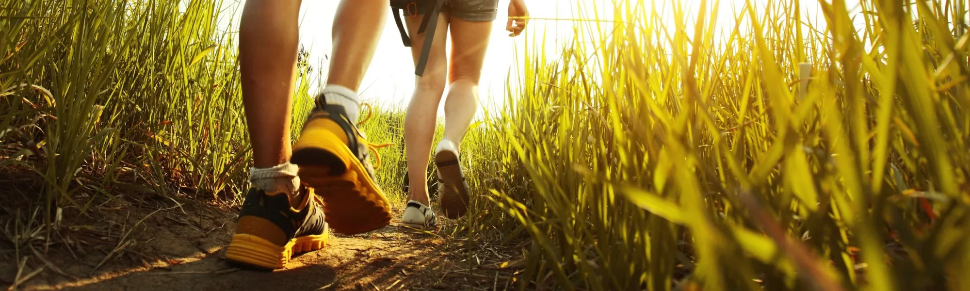 twee vrouwelijke wandelaars stappen door het gras
